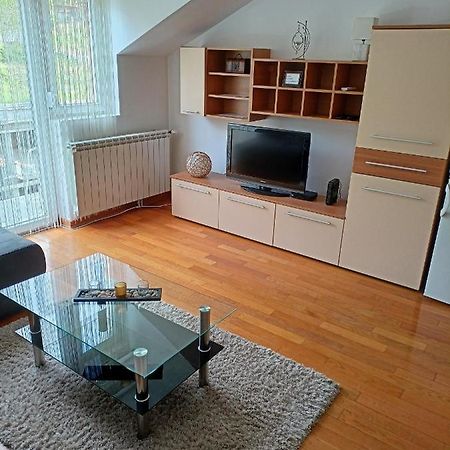 Apartman Romansa Lägenhet Vrnjačka Banja Exteriör bild